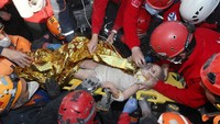 Tim penyelamat Turki berhasil menyelamatkan seorang bocah bernama Ayda Gezgin.