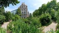 Proyek ini telah dibuat selama bertahun-tahun (tepatnya 25) dan harus siap pada tahun 2023. (dok Natural History Museum)