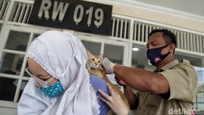 Pemkot Jakut Gencar Suntik Vaksin Rabies