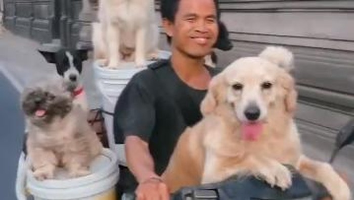 Pemotor bonceng anjing