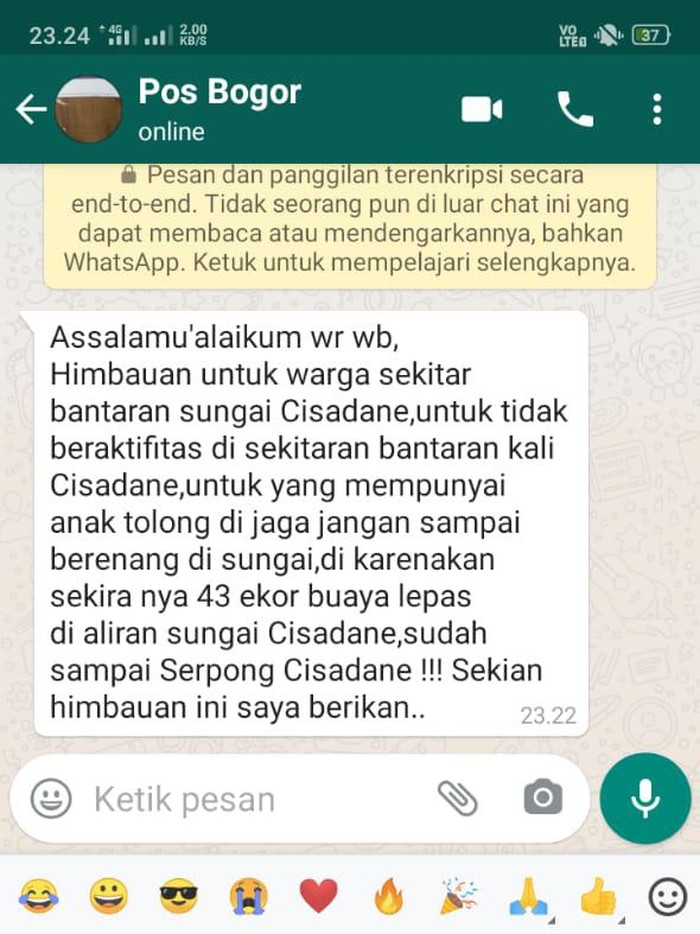 Pesan berantai soal 43 ekor buaya di penangkaran Bogor terlepas dan menuju Tangerang (tangkapan layar)