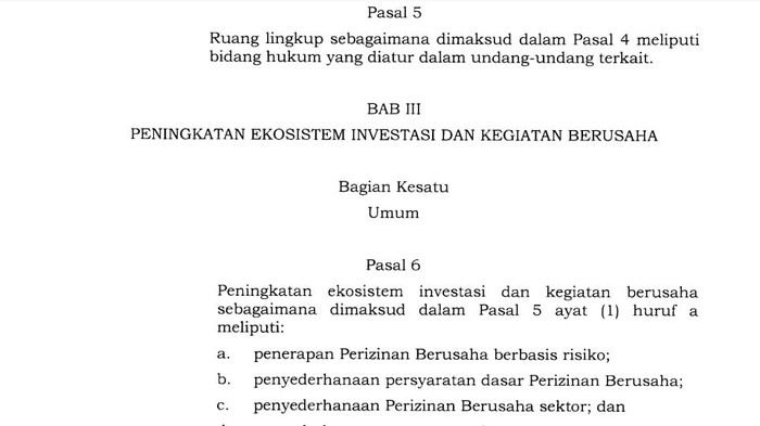 Tangkapan layar salinan UU No 11/2020