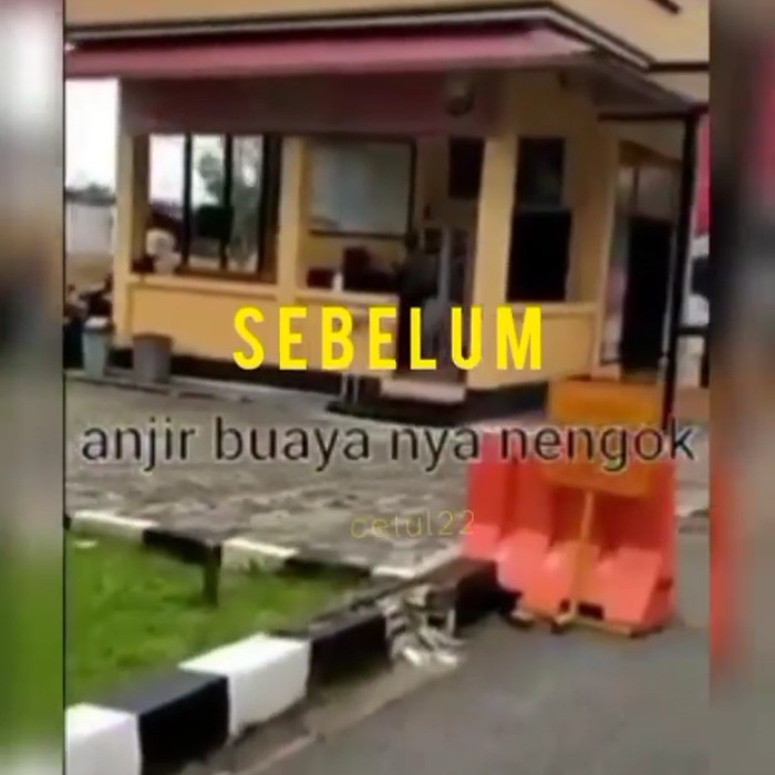 Tangkapan layar video Instastory perempuan berinisial CF. (Dok Istimewa)