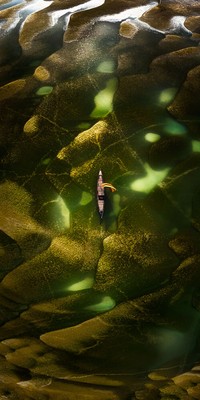 Epson International Pano Awards