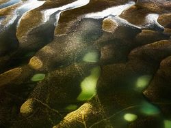 Karya Jawara Epson International Pano Awards Bikin Tak Berkedip