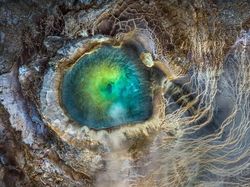 Karya Jawara Epson International Pano Awards Bikin Tak Berkedip