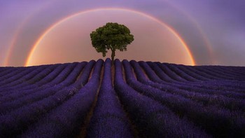 Juan Lpez Ruiz - Spanyol. Foto: Epson International Pano Awards 