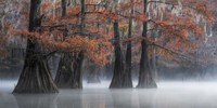 Epson International Pano Awards