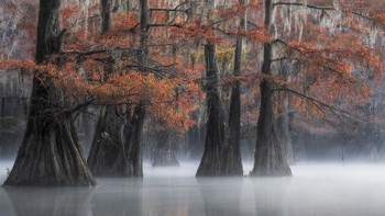 Eren Atis - AS. Foto: Epson International Pano Awards 