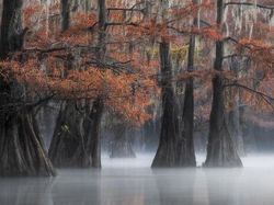 Karya Jawara Epson International Pano Awards Bikin Tak Berkedip