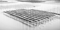 Epson International Pano Awards