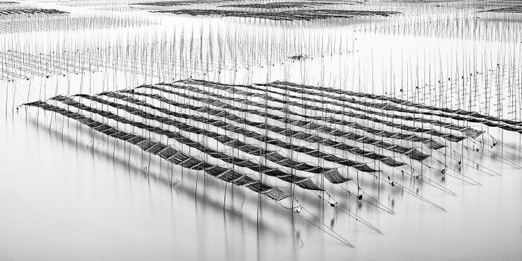 Epson International Pano Awards