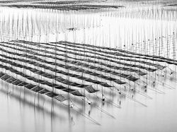 Karya Jawara Epson International Pano Awards Bikin Tak Berkedip