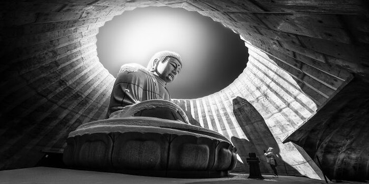 Epson International Pano Awards