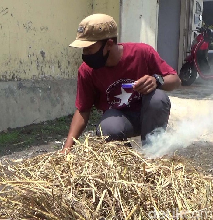 Lukisan Abu Jerami Punya Nilai Artistik Tinggi Tembus Mancanegara