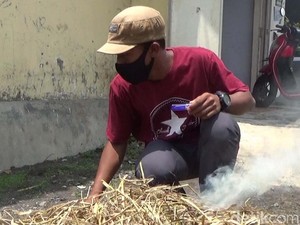 Dari Abu Jerami, Lukisan Bernilai Artistik Warga Lumajang Tembus Mancanegara