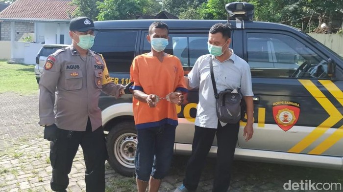 persetubuhan di banyuwangi
