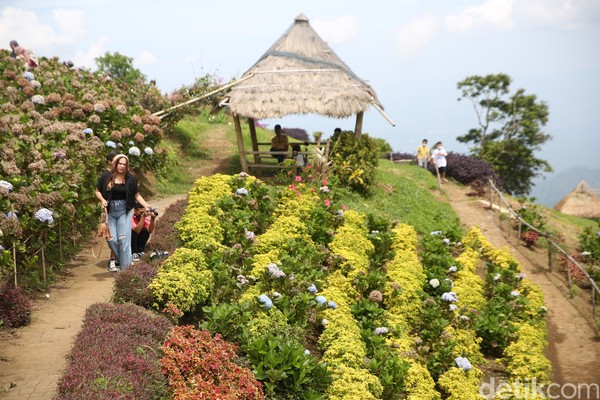 Taman Wisata Puncak Tetetana Tomohon menjadi salah satu ikon Sulut yang menarik. (Agung Pambudhy/detikcom) Taman Wisata Puncak Tetetana Tomohon menjadi salah satu ikon Sulut yang menarik. (Agung Pambudhy/detikcom)