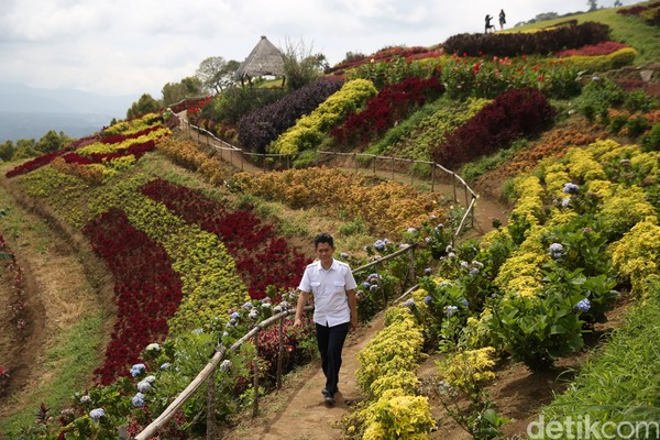 Lokasi taman wisata puncak ini ada di Jl Tintingon, Kumelembuai, Tomohon Timur, Kota Tomohon, Sulawesi Utara dengan jarak tempuh 90 an menit dari pusat kota Manado. (Agung Pambudhy/detikcom) Lokasi taman wisata puncak ini ada di Jl Tintingon, Kumelembuai, Tomohon Timur, Kota Tomohon, Sulawesi Utara dengan jarak tempuh 90 an menit dari pusat kota Manado. (Agung Pambudhy/detikcom)