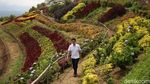 Foto: Puncak Tetetana, Ikon Baru dari Tomohon