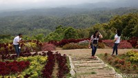 Disini terdapat taman dengan bunga warna warni. (Agung Pambudhy/detikcom)