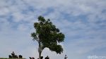 Foto: Puncak Tetetana, Ikon Baru dari Tomohon