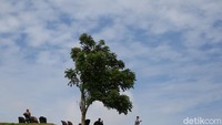 Dari Lokasi ini juga dapat melihat pemandangan Gunung Lokon dan Gunung Klabat. (Agung Pambudhy/detikcom)