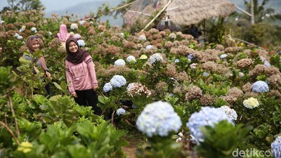 Foto: Puncak Tetetana, Ikon Baru dari Tomohon