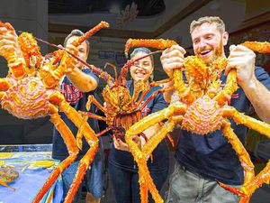 Seharga Mobil Mewah, Ini 5 Kepiting Termahal di Dunia