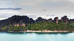 Rupa Bunglon Nano, Ukurannya Kurang dari 1 Inci