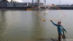 Foto: Saat Masjid Jadi Tempat Mancing Ikan