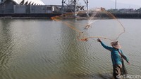 Salah seorang pemancing bernama Iman (28), datang ke Embung Gedebage sengaja untuk mencari ikan. Cari ikan, kebetulan kerja lagi libur, ya jadi berkegiatan aja. Kerja ya kerja, ini mah buat mengisi waktu libur saja, ujar Iman. (Wisma Putra/detikcom)