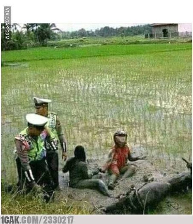 Emang kalo emak-emak beda ya.. Bisa-bisanya coba naik motor di tengah sawah kayak gini. Foto: 1cak.com