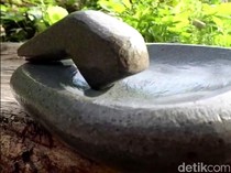 Bukan Karena Ulekan Batu, Ini Sebenarnya Pemicu Batu Ginjal