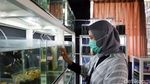 Pemuda Bandung Ini Raup Jutaan Rupiah dari Budidaya Ikan Guppy