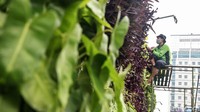 Vertikal garden menjadi alternatif taman di lahan sempit perkotaan.
