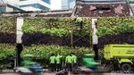 Perawatan Taman Kota Hijaukan Jakarta