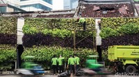 Petugas Dinas Kehutanan Jakarta Pusat melakukan perawatan taman vertikal (vertical garden) di Jalan Menteng, Kamis (5/11/2020). 