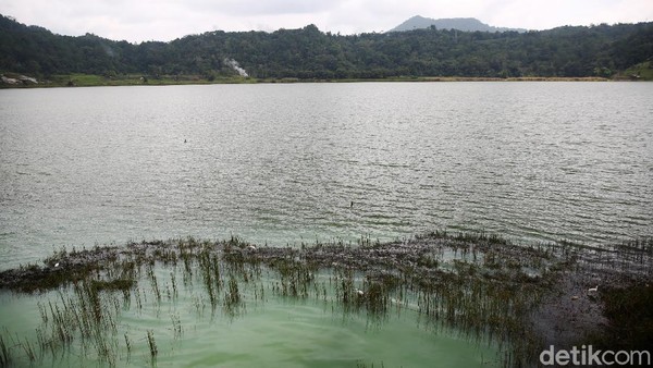 Air berwarna hijau ini dihasilkan oleh kandungan belerang yang ada di dalam danau. Karena rupanya danau ini memiliki kawah di sisinya. Air berwarna hijau ini dihasilkan oleh kandungan belerang yang ada di dalam danau. Karena rupanya danau ini memiliki kawah di sisinya.