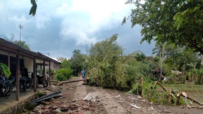 Suasana di Padukuhan Kedungranti, Kalurahan Nglipar, Kapanewon Nglipar, usai diterjang hujan deras disertai angin, Kamis (5/11/2020).