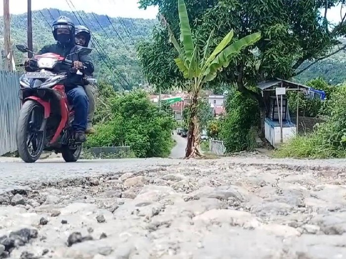 Warga Ambon tanam pohon pisang di jalan yang rusak parah