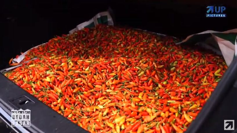 Sultan! Pria Ini Angkut Cabe dan Bawang Pakai Mobil Mercy 1,5 Miliar