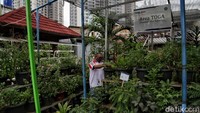 Selain itu tempat tersebut juga menyediakan produk jamu olahan dari pengurus pertanian tersebut  seperti jahe dan bir pletok dengan harga Rp 20.000-Rp 35.000 per bungkus.