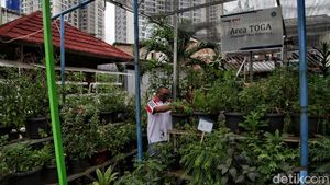 Bercocok Tanam di Tengah Padatnya Ibu Kota