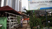 Seorang warga merawat salah satu tanaman di pertanian perkotaan kawasan Sunter Agung, Jakarta Utara, Jumat (6/11/2020).
