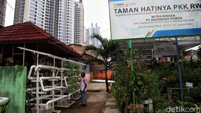 Bercocok Tanam di Tengah Padatnya Perkotaan Ibu Kota Sebuah area di kawasan Sunter Agung, Jakarta, dimanfaatkan jadi lahan pertanian. Ada beragam tanaman yang ditanam di sana mulai dari sayuran hingga tanaman obat