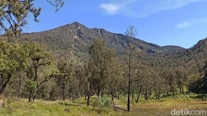 Buka Tutup Jalur Pendakian Gunung Arjuno-Welirang Dilakukan