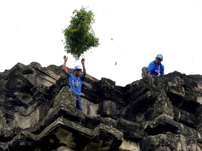 Petugas Bersih-bersih di Angkor Wat: Tanpa Alas Kaki, Tanpa Pengaman