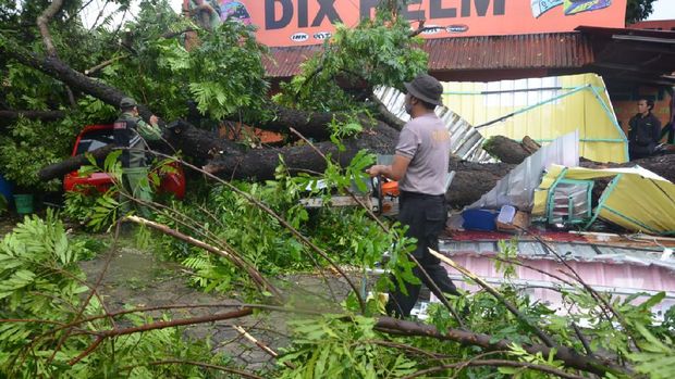 Hujan lebat yang mengguyur Kota Purwokerto, Banyumas, menyebabkan sejumlah pohon tumbang, Jumat (6/11/2020).