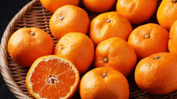 Fantastis! Satu Buah Jeruk Mandarin Mikan Dijual Rp 14,2 Juta di Jepang